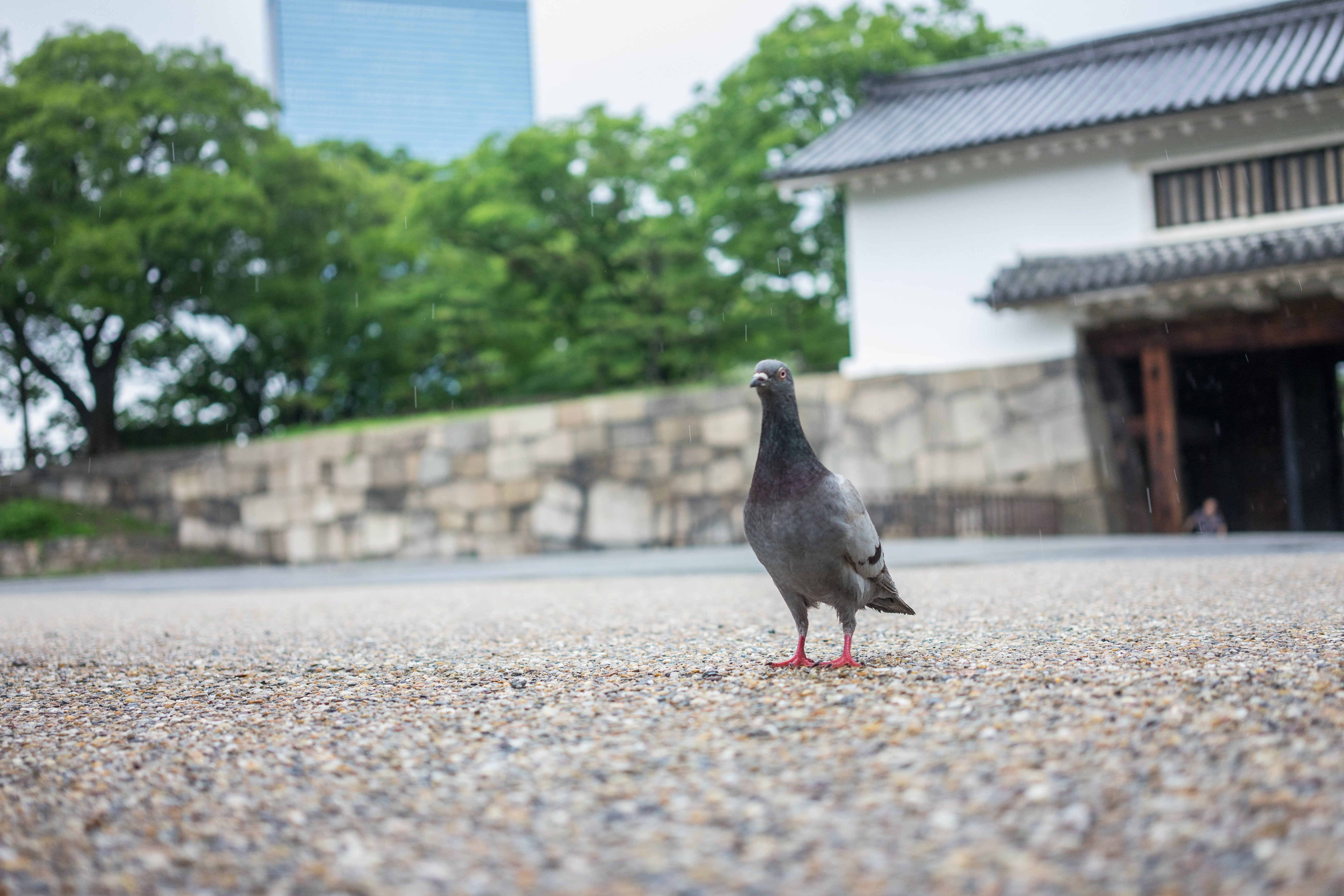 城堡